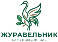 Журавельник — Саженцы для вас